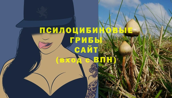 соль ск Арсеньев